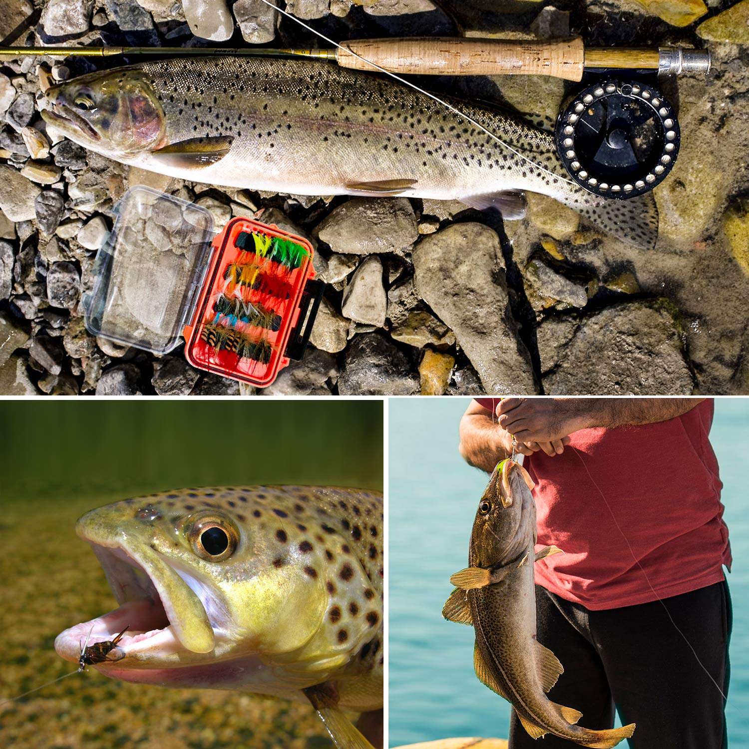 best fly fishing kit for beginners